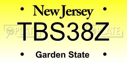 TBS38Z New Jersey License Plate