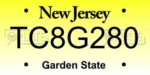 TC8G280 New Jersey License Plate