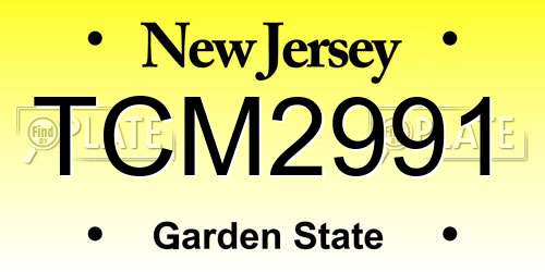 TCM2991 New Jersey License Plate