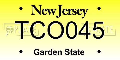 TCO045 New Jersey License Plate