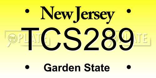 TCS289 New Jersey License Plate