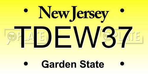TDEW37 New Jersey License Plate