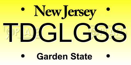 TDGLGSS New Jersey License Plate