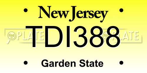TDI388 New Jersey License Plate