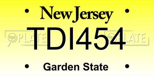 TDI454 New Jersey License Plate