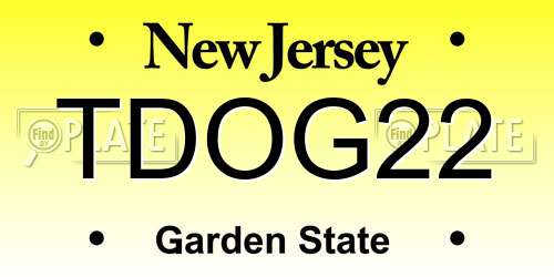 TDOG22 New Jersey License Plate