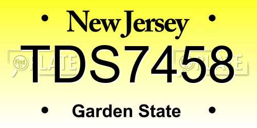 TDS7458 New Jersey License Plate