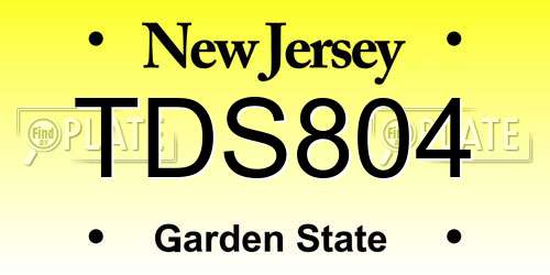 TDS804 New Jersey License Plate