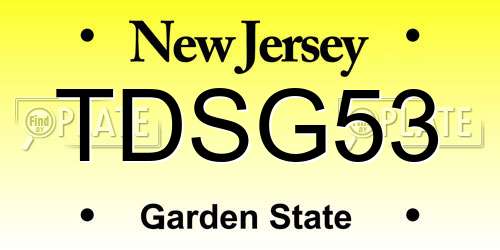 TDSG53 New Jersey License Plate