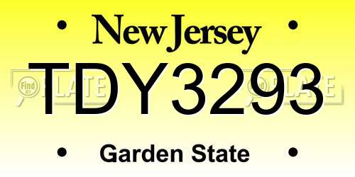 TDY3293 New Jersey License Plate