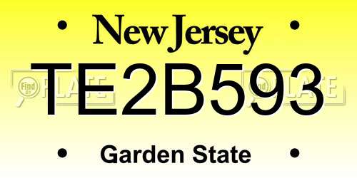 TE2B593 New Jersey License Plate