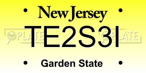 TE2S3I New Jersey License Plate