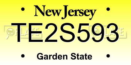 TE2S593 New Jersey License Plate