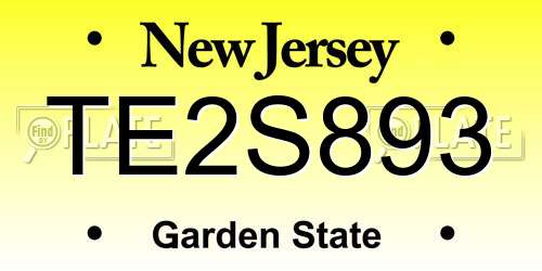 TE2S893 New Jersey License Plate