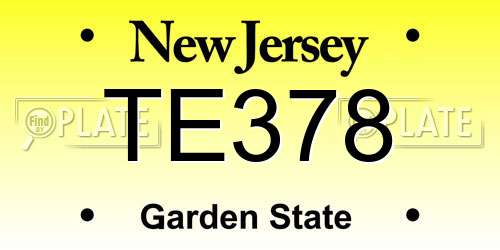 TE378 New Jersey License Plate