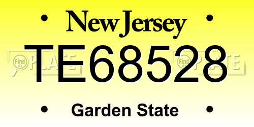 TE68528 New Jersey License Plate