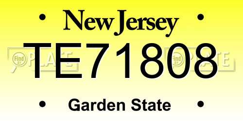 TE71808 New Jersey License Plate