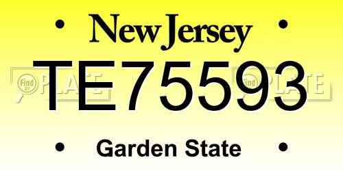 TE75593 New Jersey License Plate