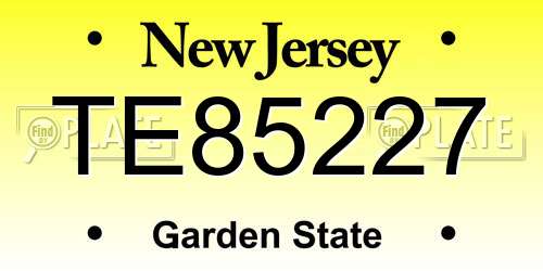 TE85227 New Jersey License Plate