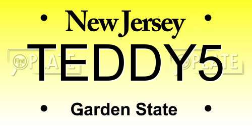 TEDDY5 New Jersey License Plate
