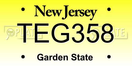 TEG358 New Jersey License Plate