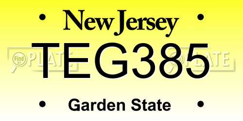TEG385 New Jersey License Plate