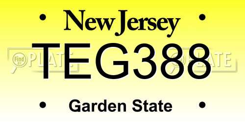 TEG388 New Jersey License Plate