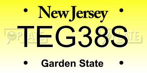 TEG38S New Jersey License Plate