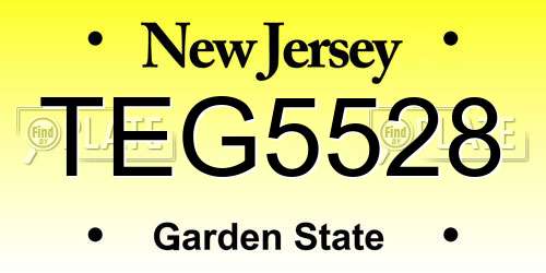 TEG5528 New Jersey License Plate