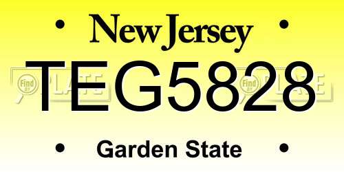 TEG5828 New Jersey License Plate