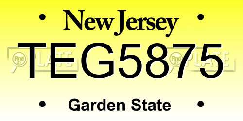 TEG5875 New Jersey License Plate
