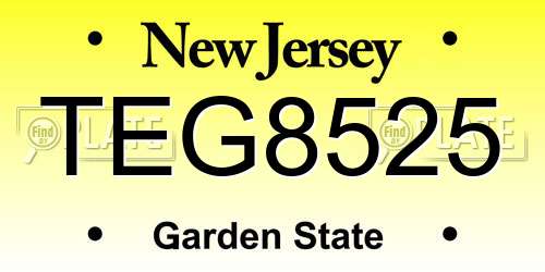 TEG8525 New Jersey License Plate