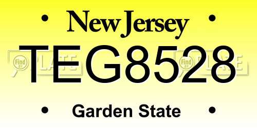 TEG8528 New Jersey License Plate