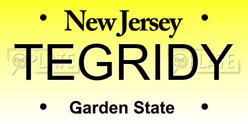 TEGRIDY New Jersey License Plate