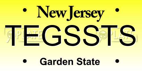TEGSSTS New Jersey License Plate