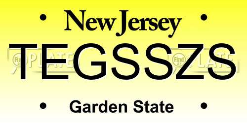 TEGSSZS New Jersey License Plate