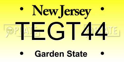 TEGT44 New Jersey License Plate