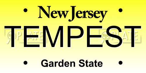 TEMPEST New Jersey License Plate