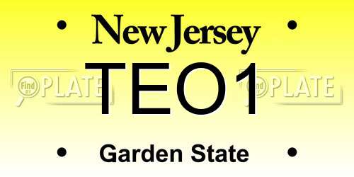 TEO1 New Jersey License Plate