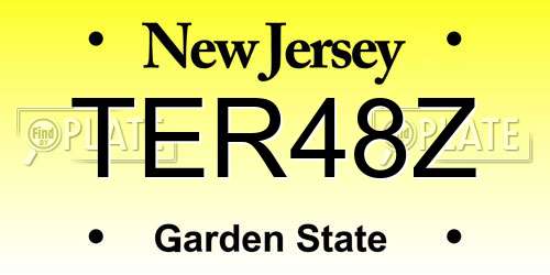 TER48Z New Jersey License Plate