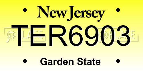TER6903 New Jersey License Plate