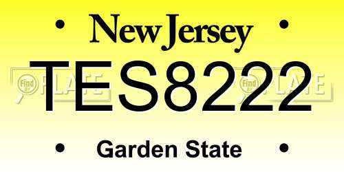 TES8222 New Jersey License Plate