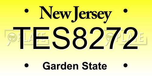 TES8272 New Jersey License Plate