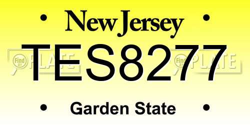 TES8277 New Jersey License Plate