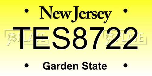 TES8722 New Jersey License Plate