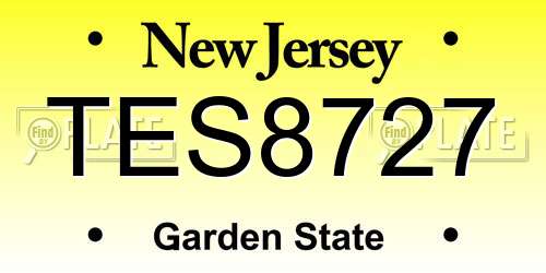 TES8727 New Jersey License Plate
