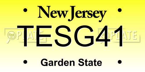TESG41 New Jersey License Plate