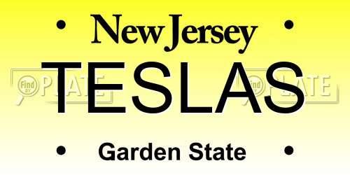 TESLAS New Jersey License Plate