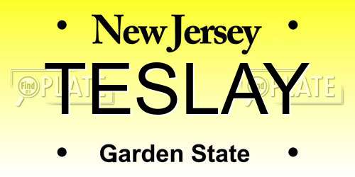 TESLAY New Jersey License Plate