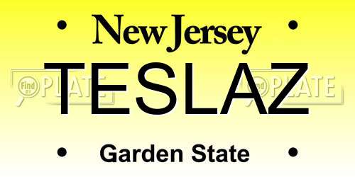 TESLAZ New Jersey License Plate